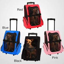 How to Choose a Comfortable Pet Carrier Backpack for Travel