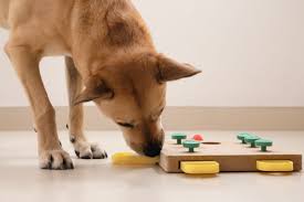 Top Interactive Dog Toys for Bored Dogs at Home